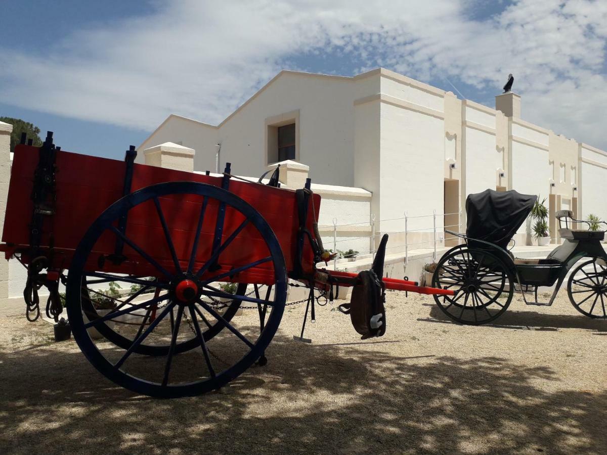 Apartmán Casa Vacanza Mary Santeramo in Colle Exteriér fotografie